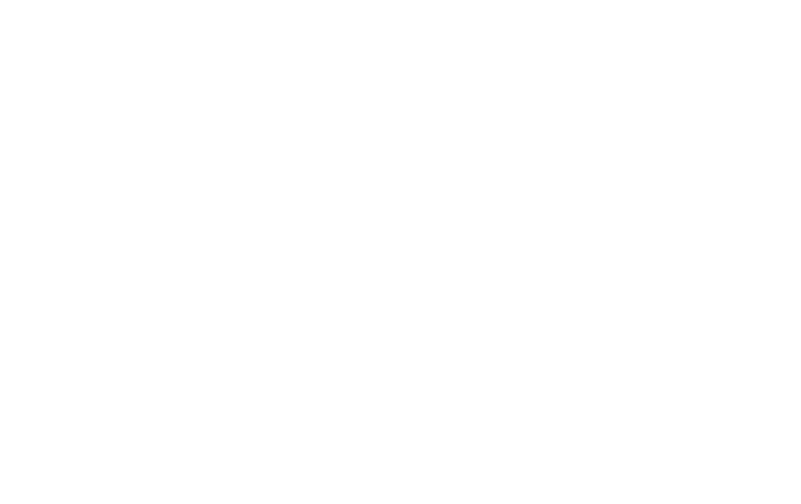 lems-mentor-image